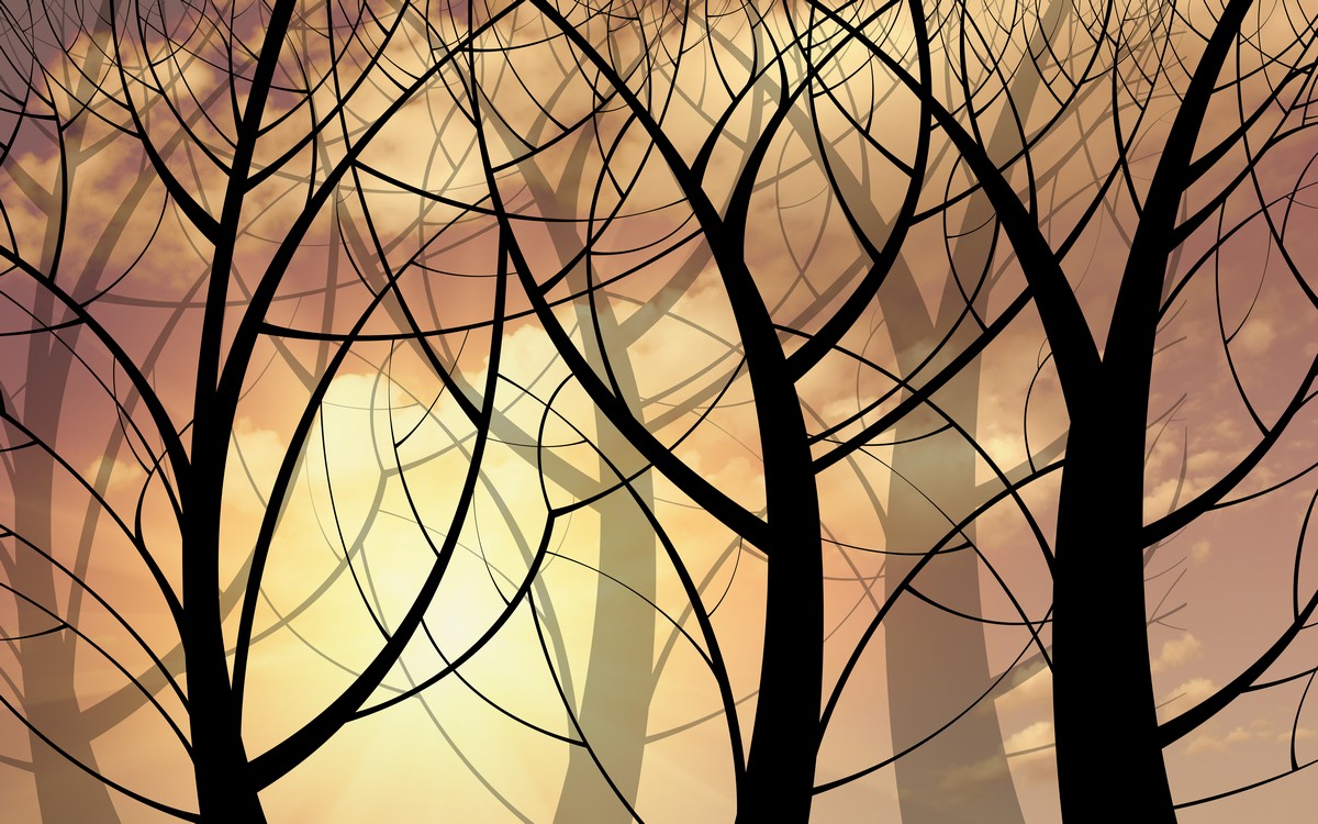 Фреска 3D лес в лучах заката